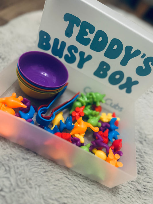 Busy Box with Toy
